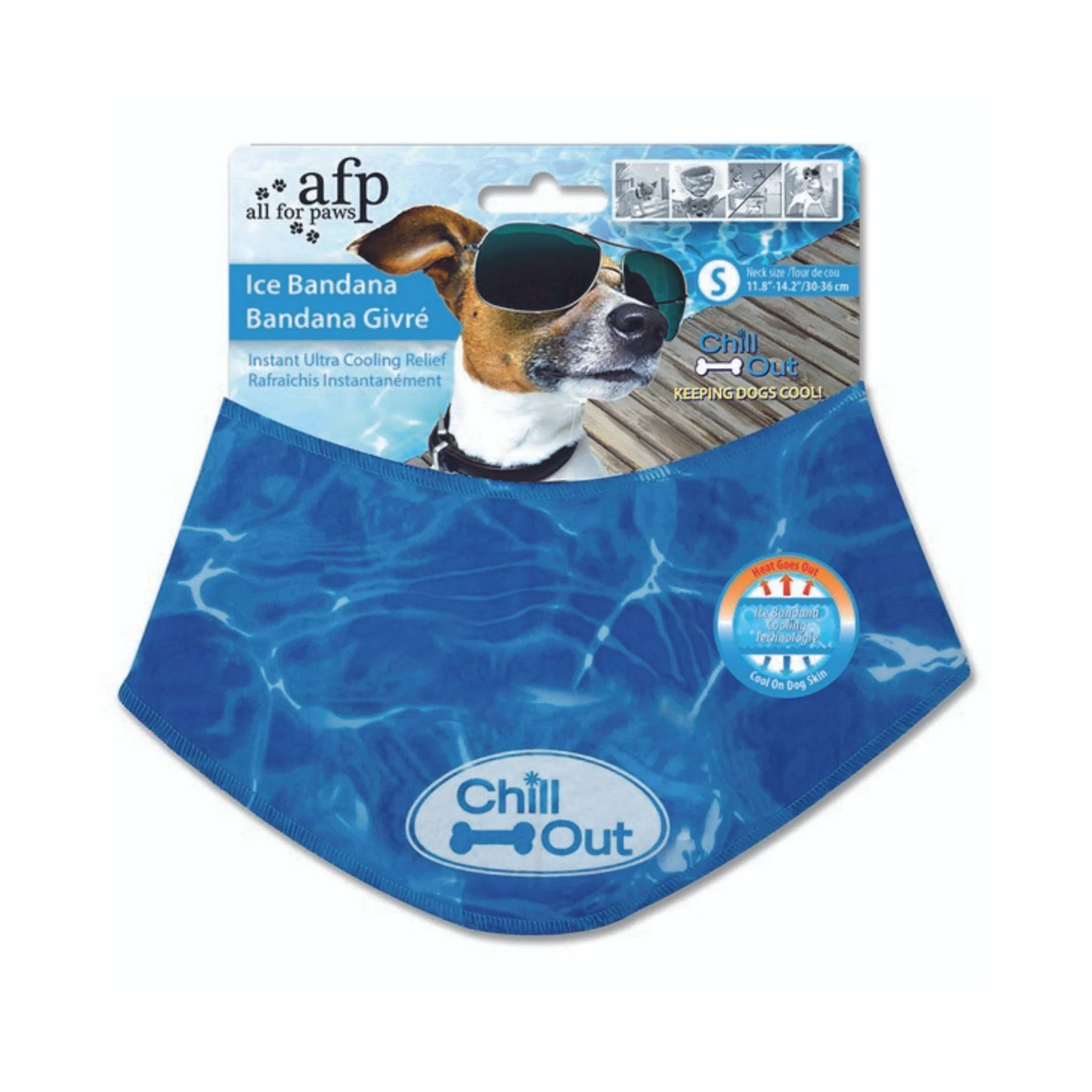 Keep Your Dog Cool in Hot Weather
